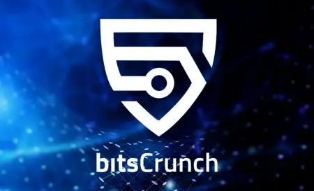 BitsCrunch аналитические инструменты на основе ИИ