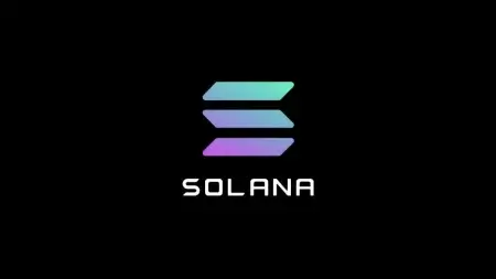 Продажи Solana NFT набирают обороты